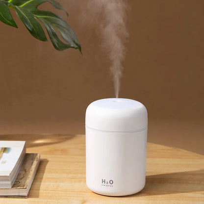 Portable 300ml Humidifier